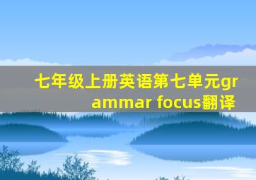 七年级上册英语第七单元grammar focus翻译